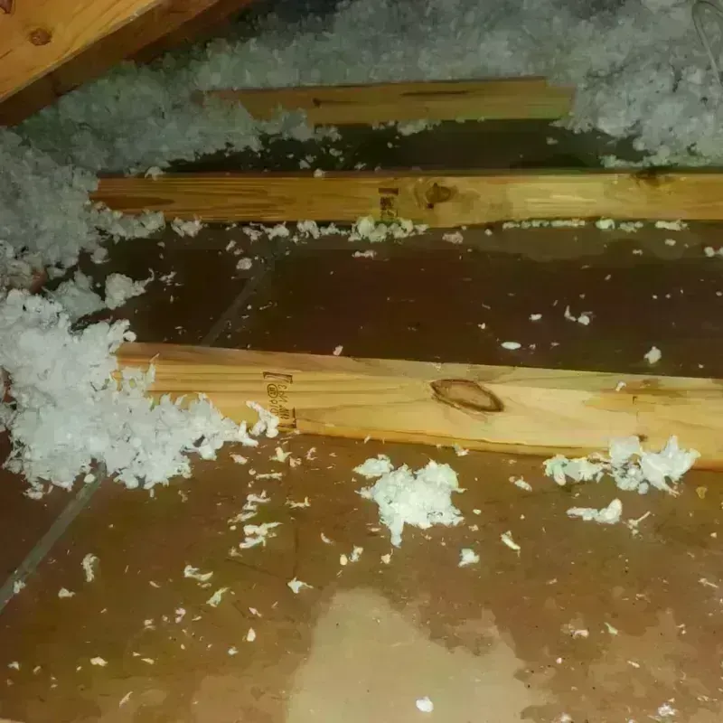 Attic Water Damage in Bowie, TX