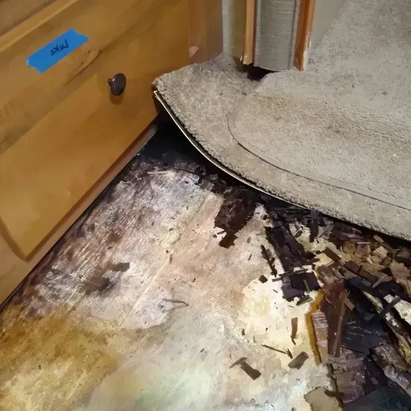 Wood Floor Water Damage in Bowie, TX